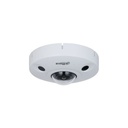 IPC-EBW81242-AS-S2