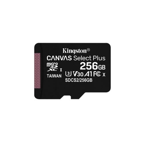 SDCS3/256GB